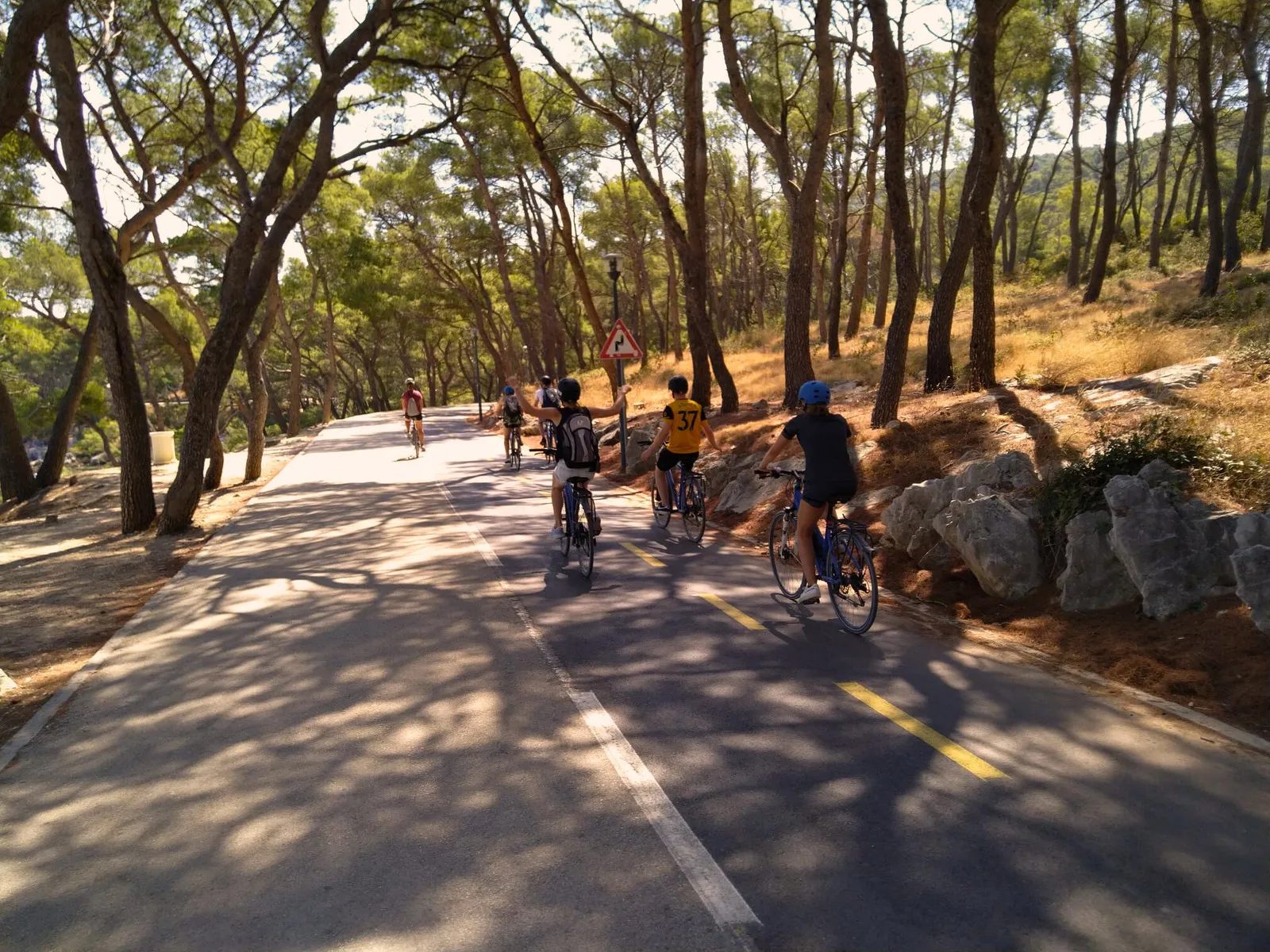 Bike & Wine Tour